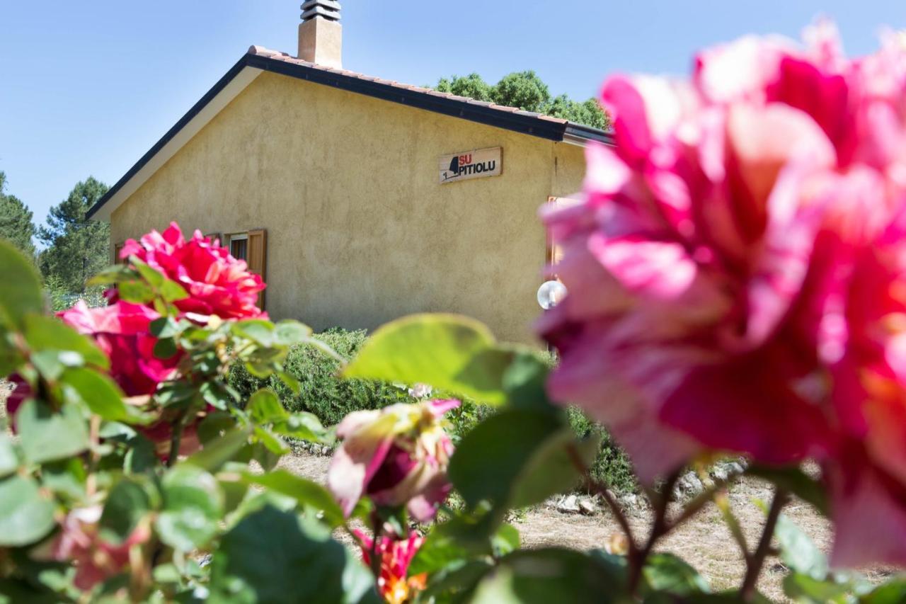 Su Pitiolu - Casa Vacanze Laconi Exterior photo